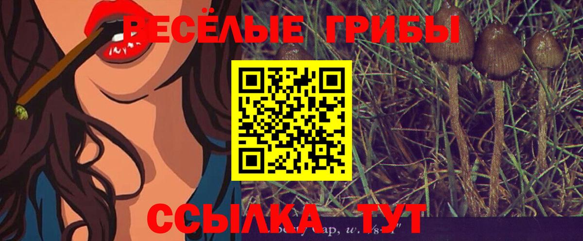 Галлюциногенные грибы Magic Shrooms Бузулук